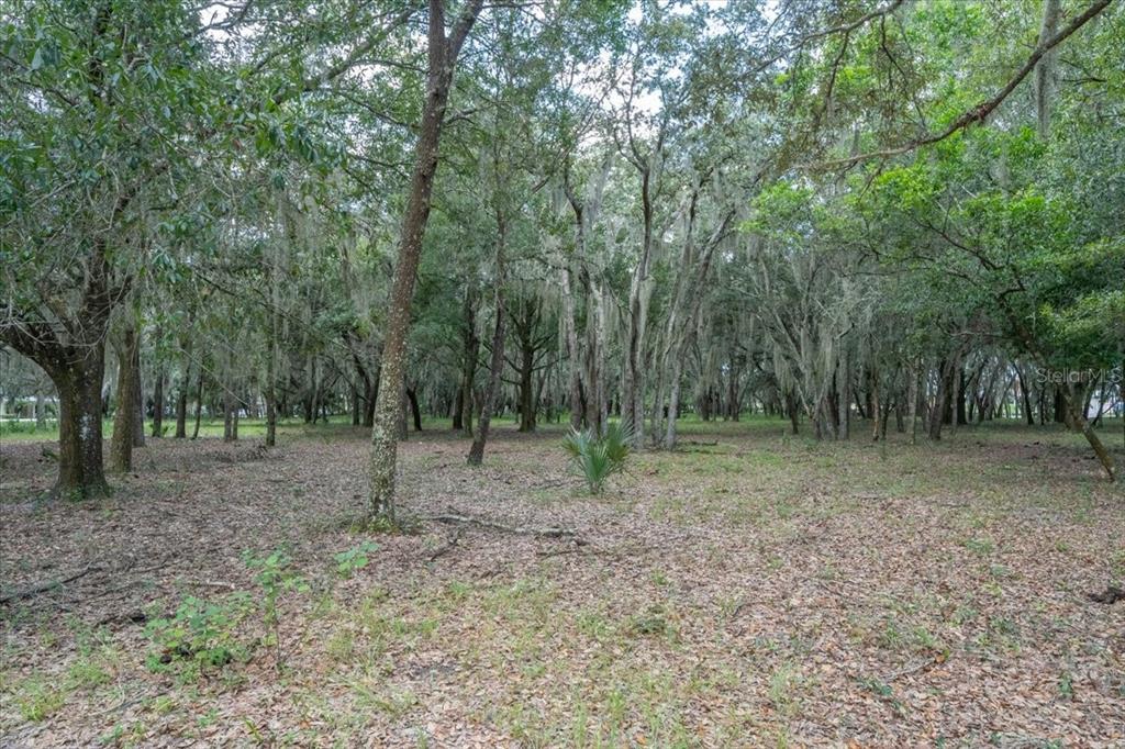 TWIN LAKES OF KEYSTONE - Land