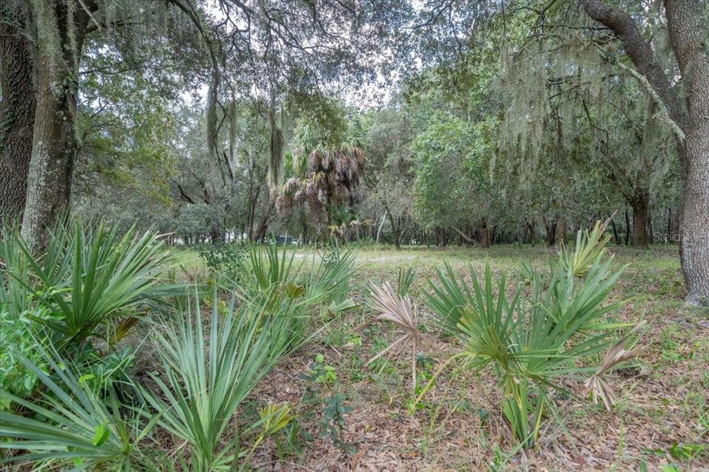 TWIN LAKES OF KEYSTONE - Land