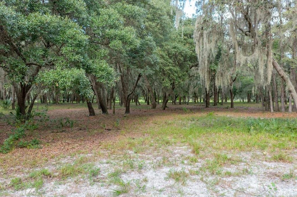 TWIN LAKES OF KEYSTONE - Land