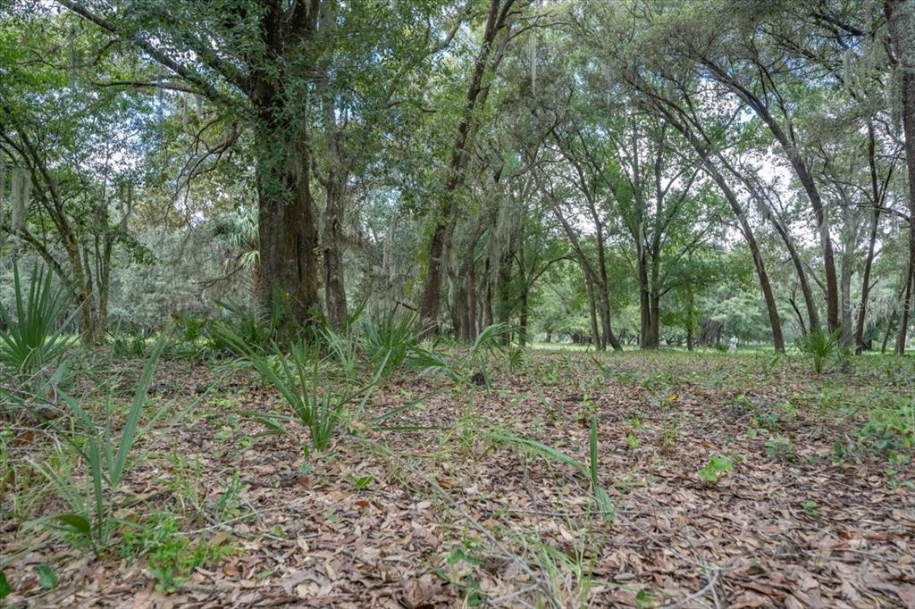 TWIN LAKES OF KEYSTONE - Land