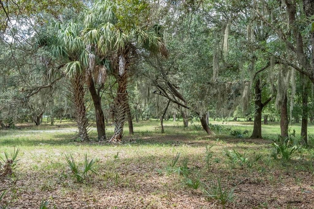 TWIN LAKES OF KEYSTONE - Land