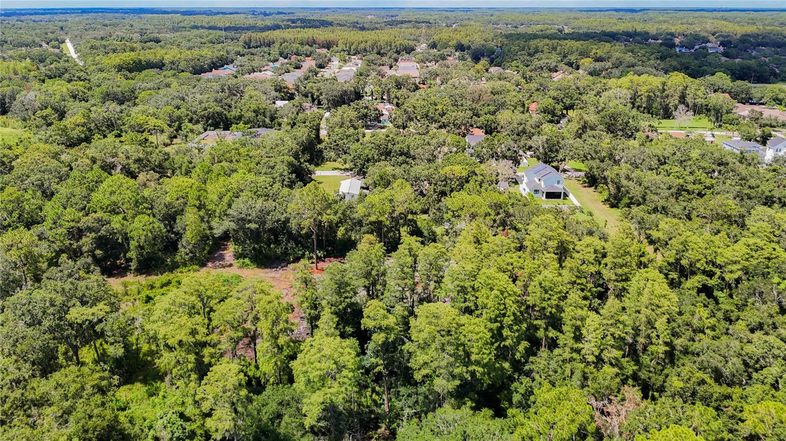 MAP/THE TOWN/CITRUS PARK - Land