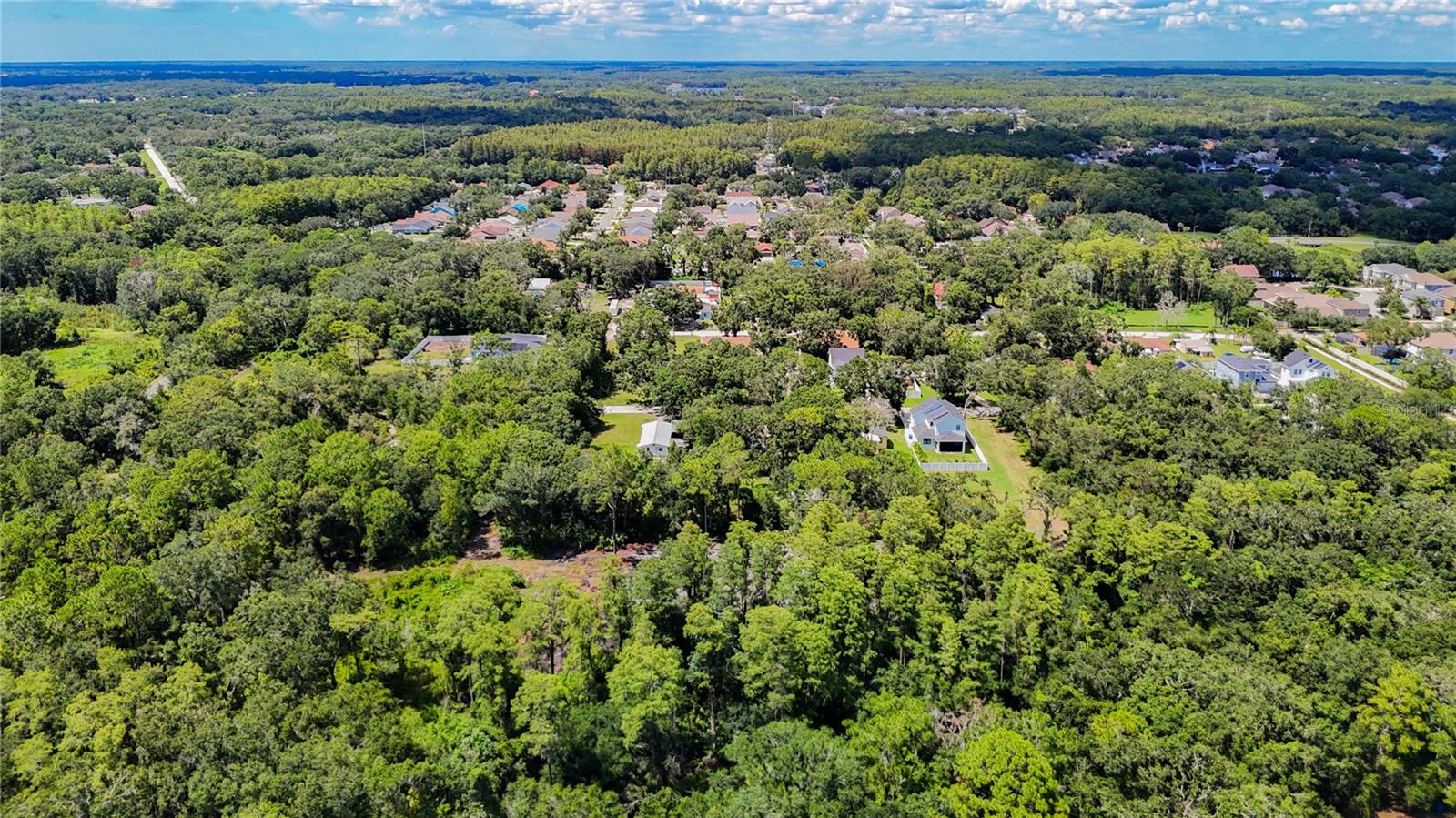 MAP/THE TOWN/CITRUS PARK - Land