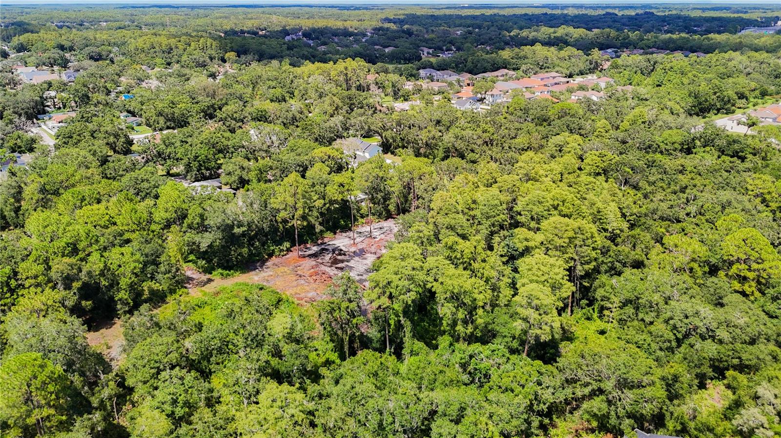 MAP/THE TOWN/CITRUS PARK - Land