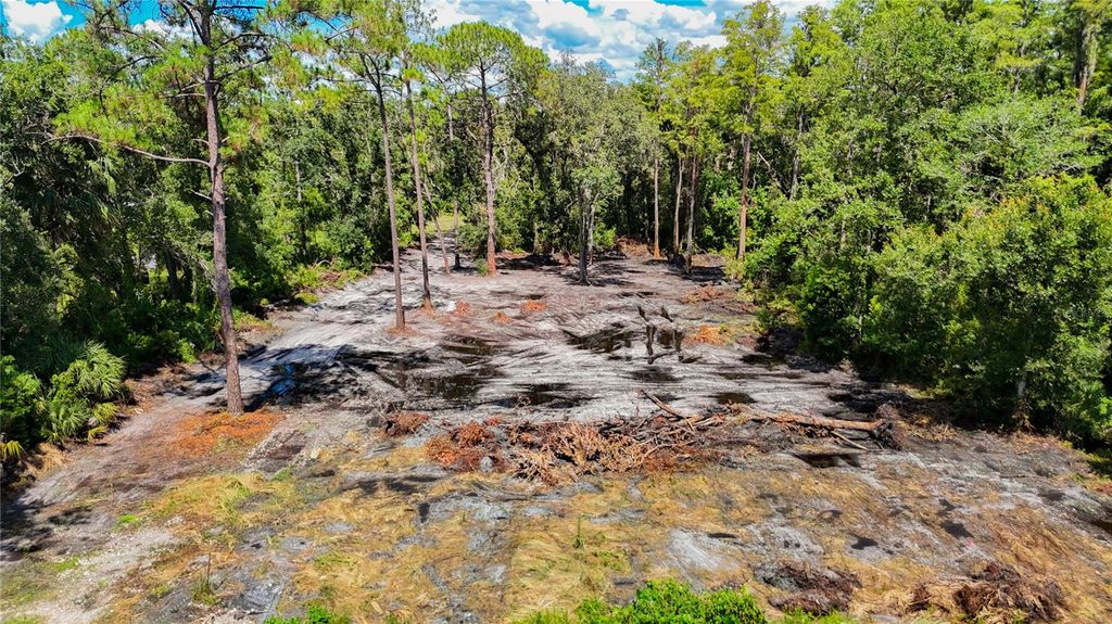 Photo of Anno Street, Tampa, FL 33625 (MLS # TB8417683)