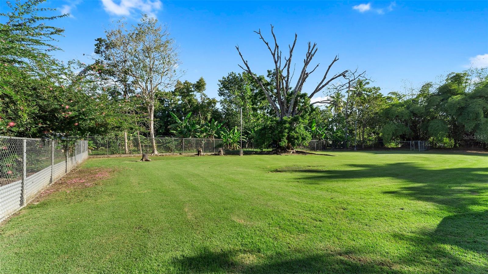 CARR 311 KM 0.03 BO. BAJURA, CABO ROJO PR 00623 - Residential