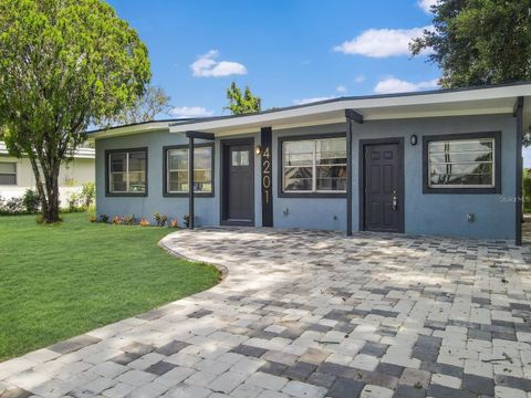 4201 PARK LAKE STREET ORLANDO FL 32803