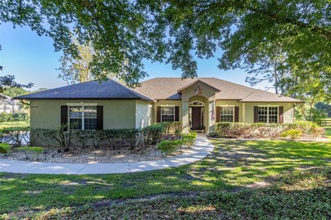 A home in MONTVERDE