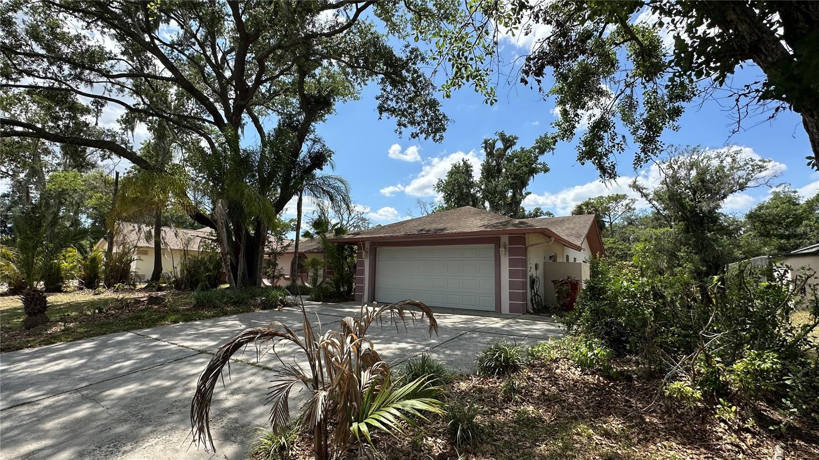 2898 HAMMOCK DRIVE