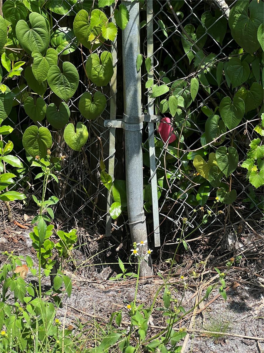 ORIGINAL BLOOMINGDALE ACRES - Land