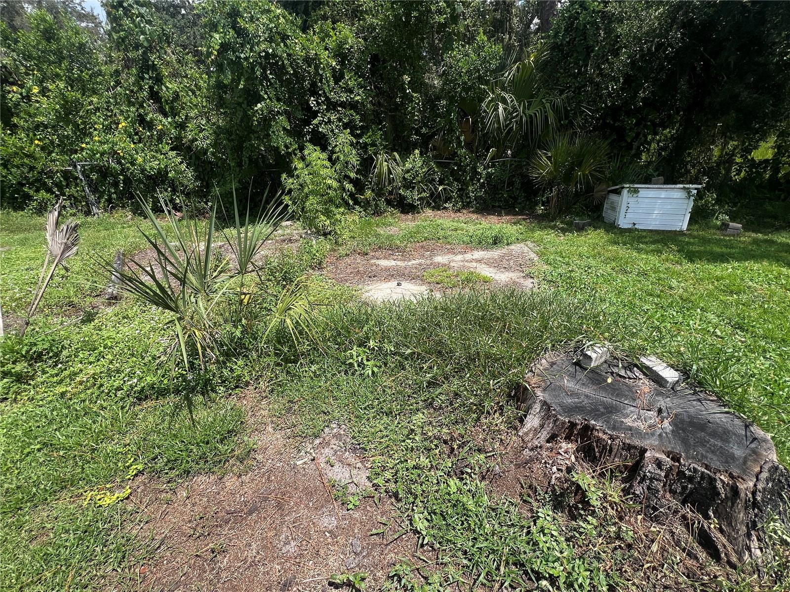 ORIGINAL BLOOMINGDALE ACRES - Land