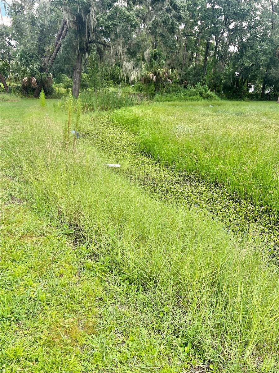 ORIGINAL BLOOMINGDALE ACRES - Land