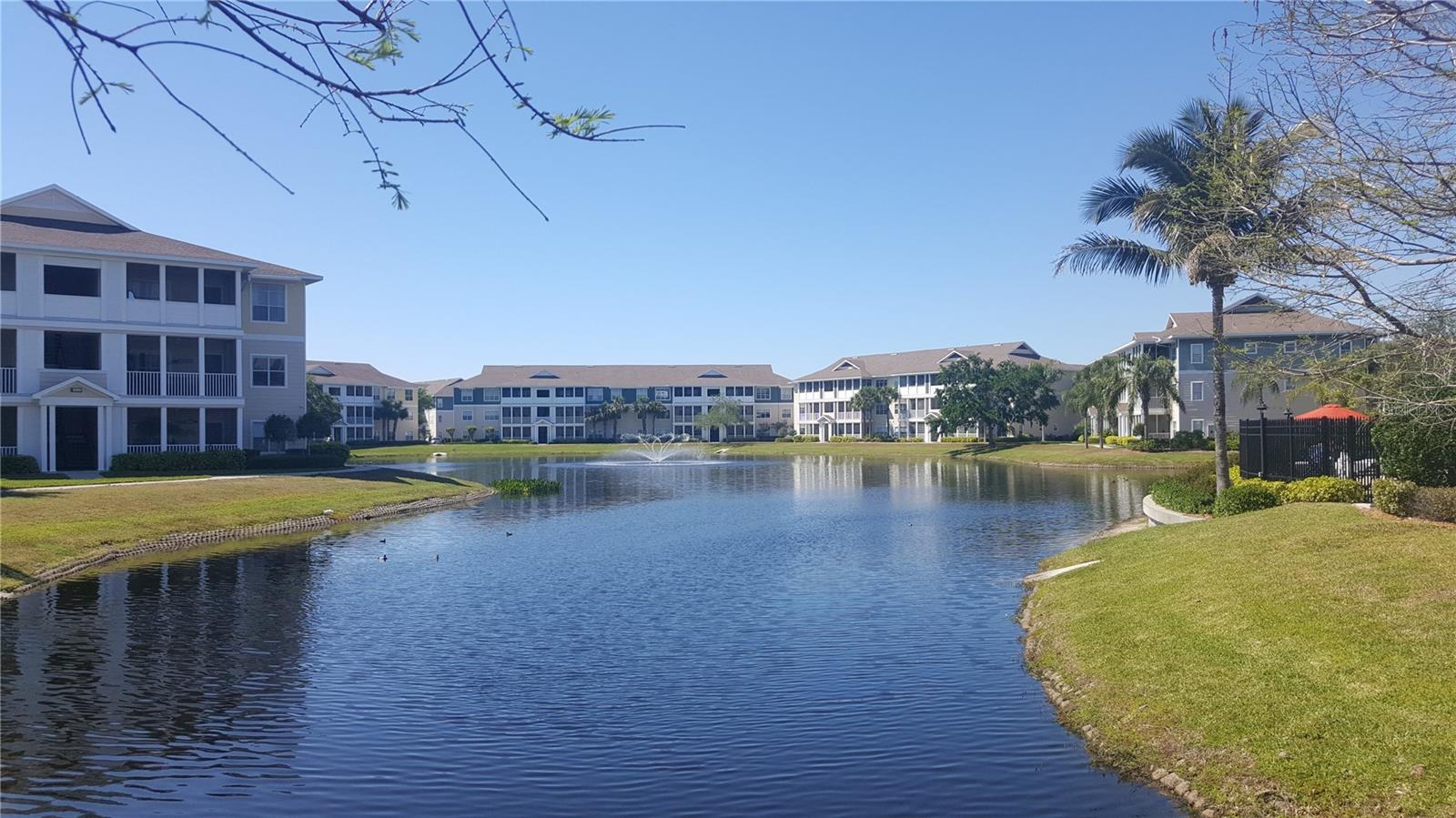 THE PALMS OF CORTEZ - Residential