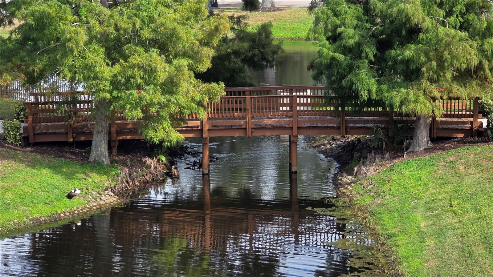 THE PALMS OF CORTEZ - Residential
