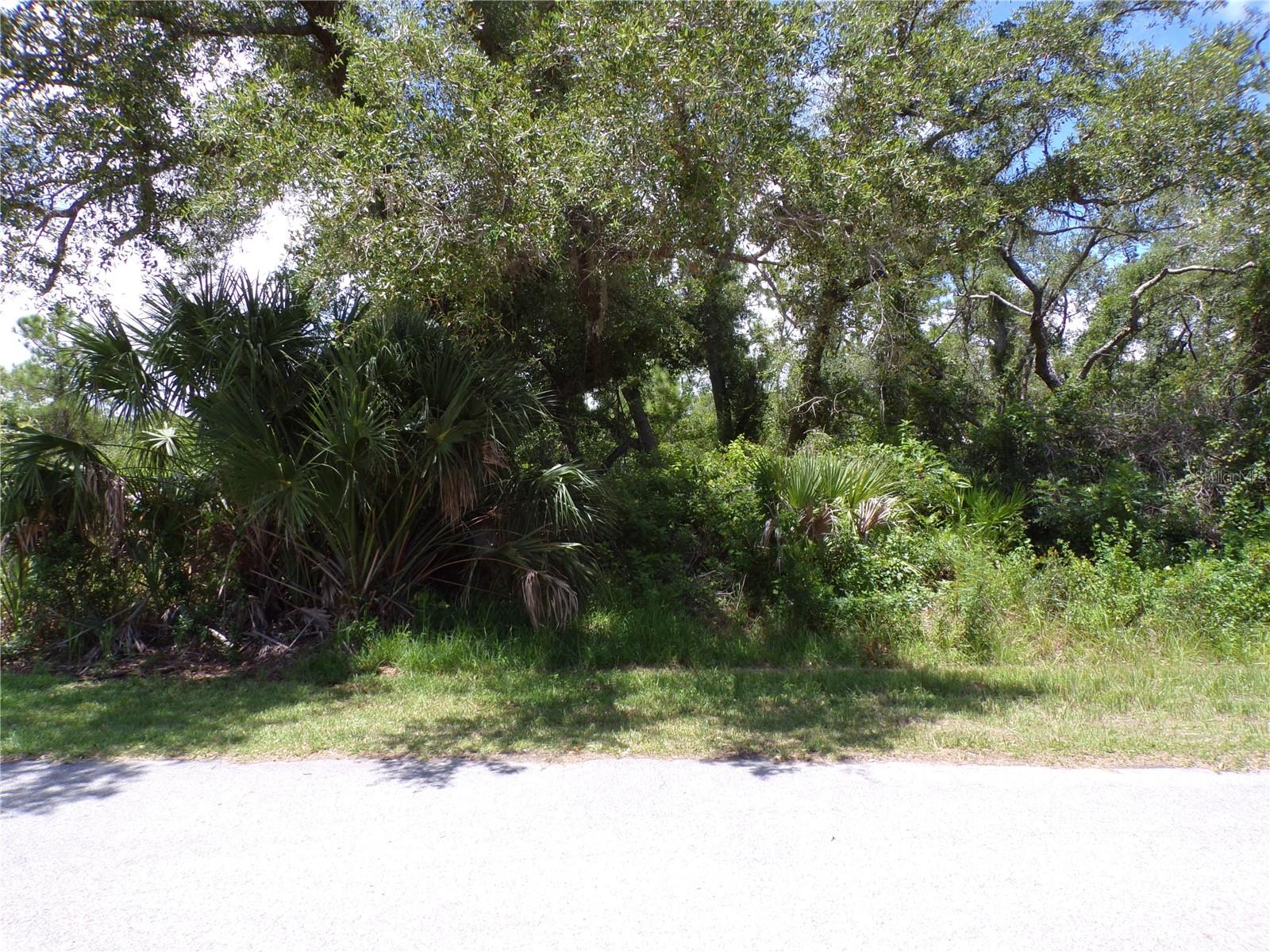 This OVERSIZED lot is just under 1/2 Acre, on a quiet street, that would be a great place to build your dream home and retire or raise your family. Less than 10 miles to I75 makes this location an easy commute to almost anywhere, and only 18 miles to Venice Pier and Beach with amazing sunsets, 3 miles to Cocoplum Village Shops with lots of shopping and dining options. Atlanta Braves spring training and the fairgrounds are just minutes away, also multiple golf courses and some of the best boating and fishing in all of Florida. Red Soxs, Orioles, Twins and Rays spring training all within an hour’s drive. Buyer and buyers’ reps are responsible for determining environmental conditions and endangered species restrictions. This lot is priced to sell so please call for availability! This lot is at a great price point for the investor call today.