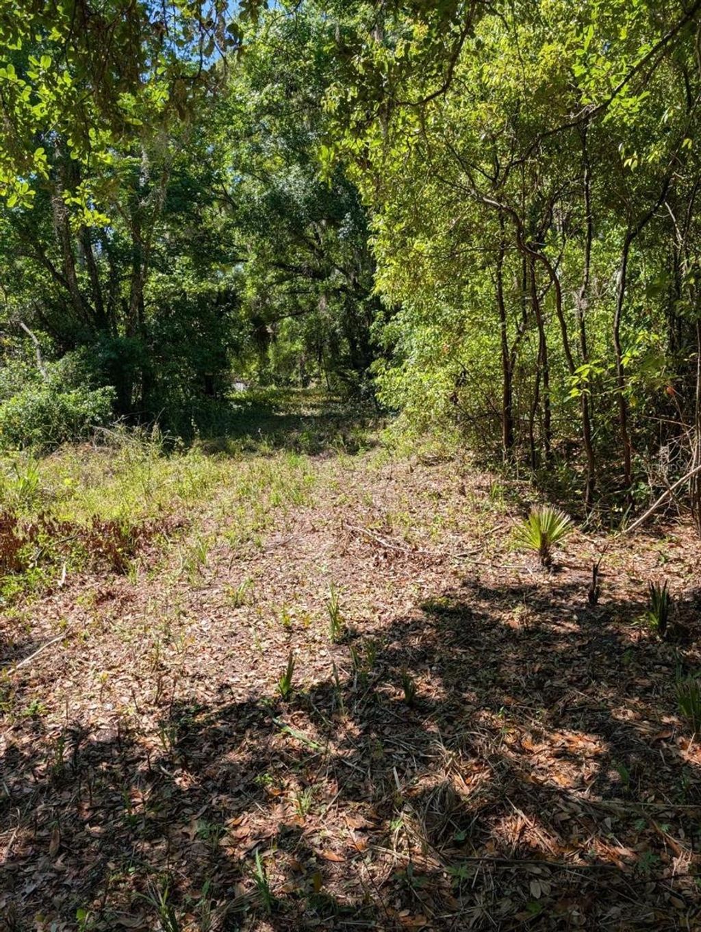 Photo of 0 NW 202nd Pl, Mc Intosh, FL 32664 (MLS # OM724265)
