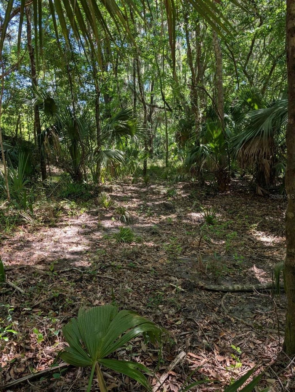 Photo of 0 NW 202nd Pl, Mc Intosh, FL 32664 (MLS # OM724265)