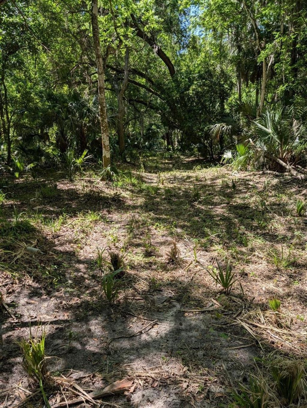 Photo of 0 NW 202nd Pl, Mc Intosh, FL 32664 (MLS # OM724265)