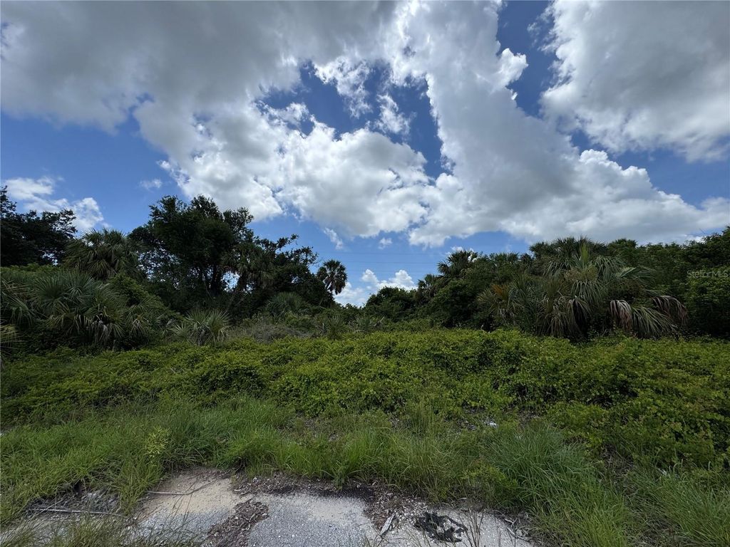 Photo of Nace Court, North Port, FL 34288 (MLS # TB8404365)