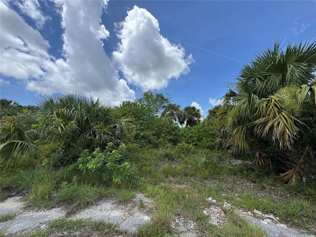 Photo of Nace Court, North Port, FL 34288 (MLS # TB8404365)