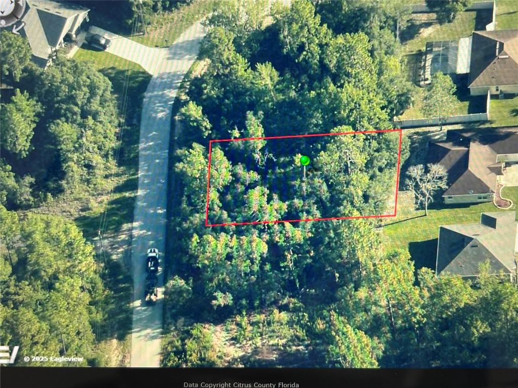 Photo of 8065 N Maltese Drive, Citrus Springs, FL 34433 (MLS # FC314792)