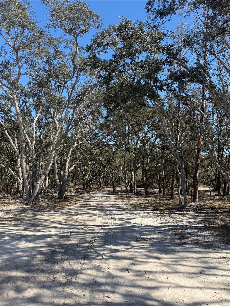 BOTETOURT ACRES 2 TRACTS 1 & 2 - Residential