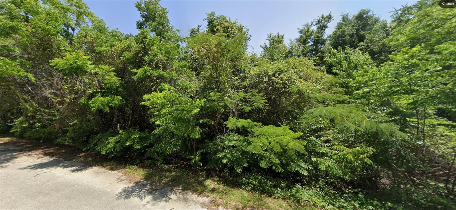LAKE WEIR SHORES 03 - Land