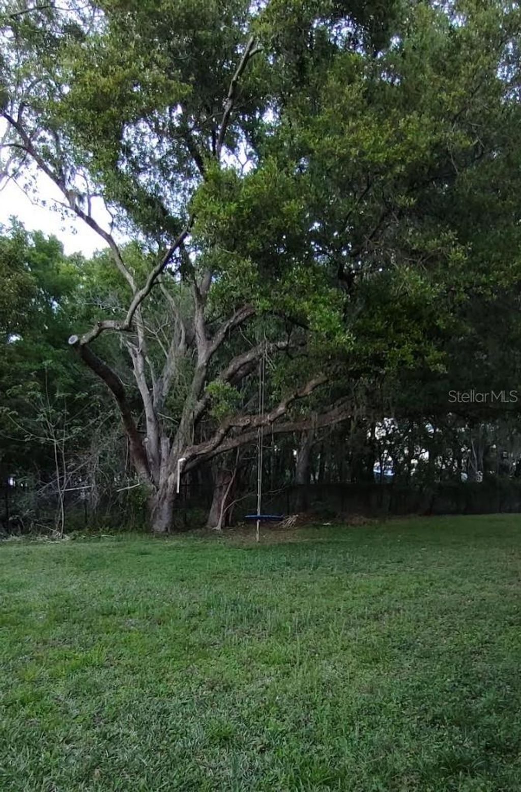 Photo of Valrico, FL 33594 (MLS # TB8492244)