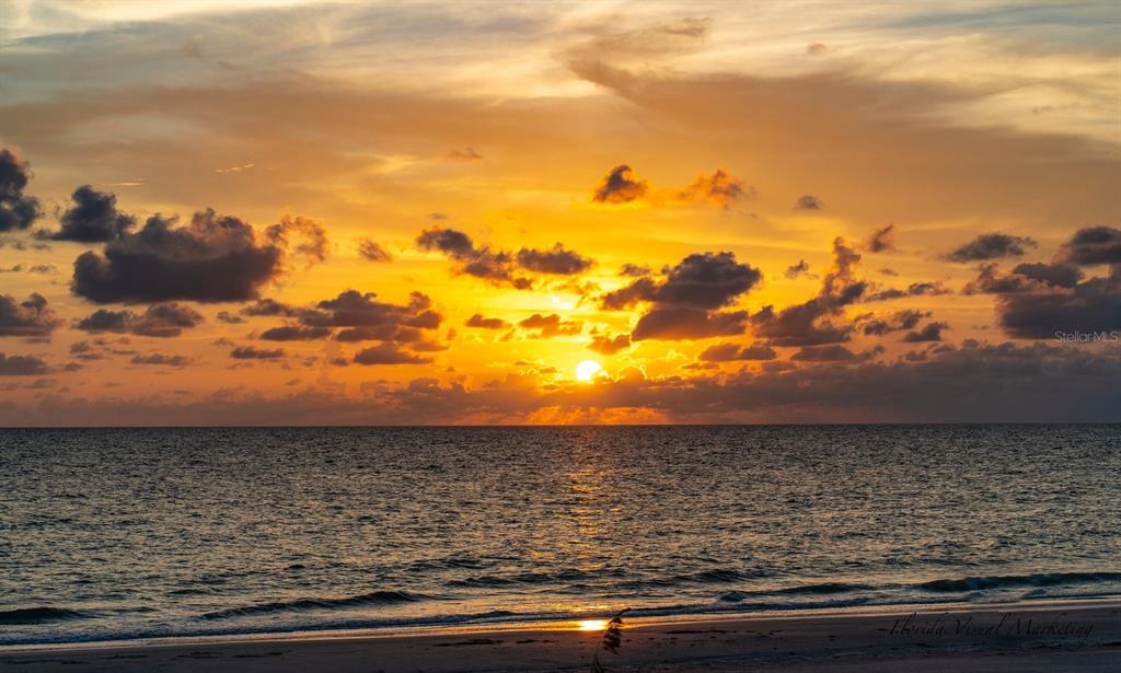 INDIAN ROCKS BEACH - Residential