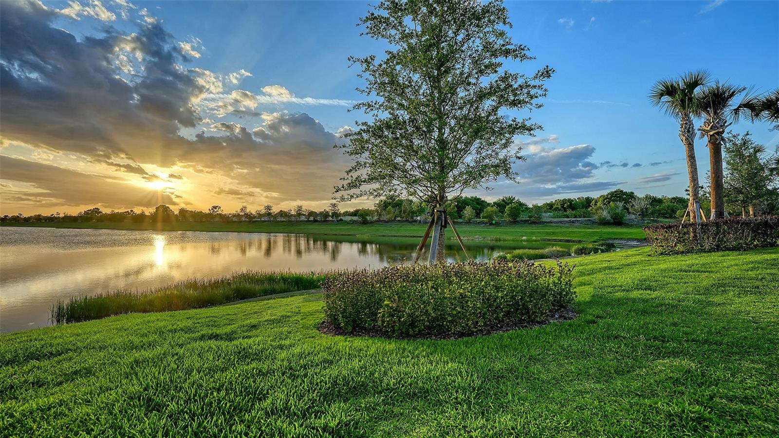 ARTISTRY PH 3B - Residential