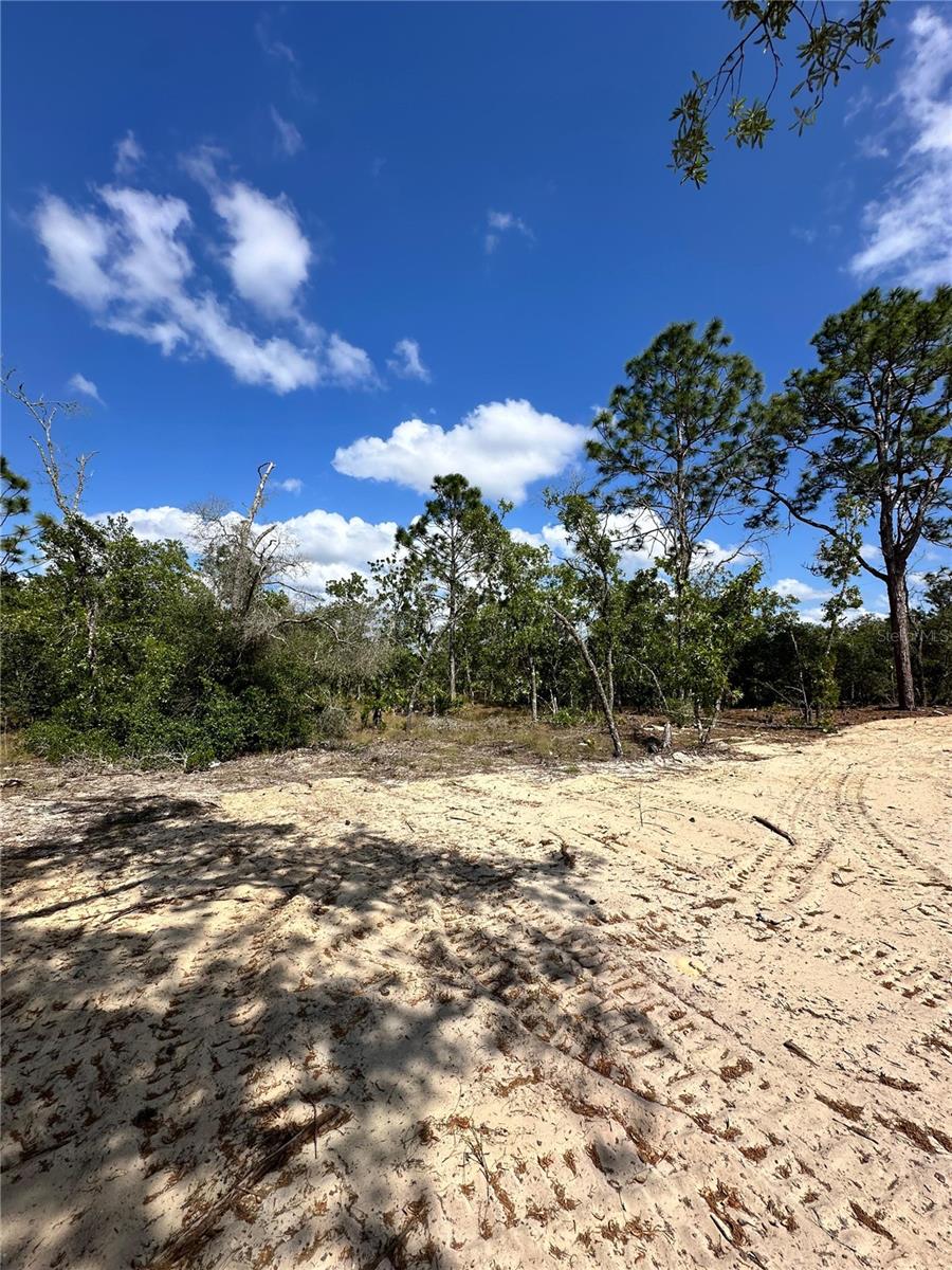 CITRUS SPGS UNIT 22 - Land