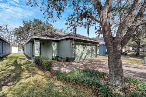 A home in LITHIA