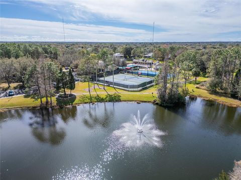 A home in LITHIA