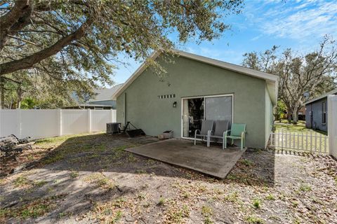 A home in LITHIA