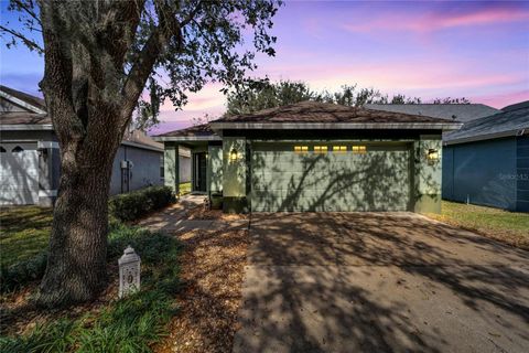 A home in LITHIA