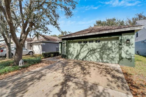 A home in LITHIA