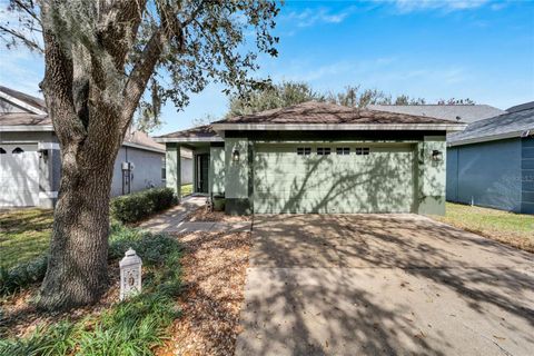 A home in LITHIA