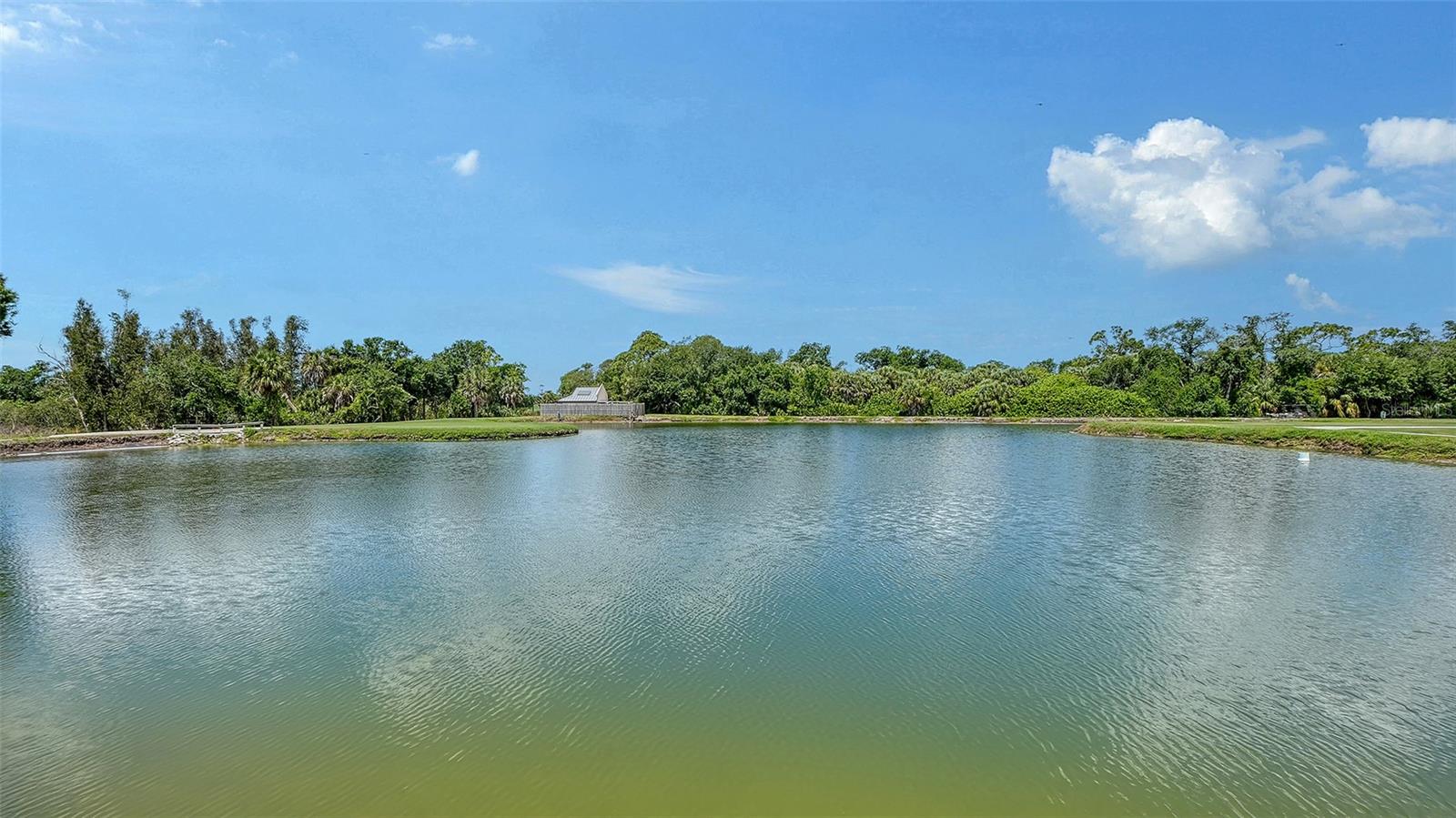 PELICAN POINTE GOLF & CC - Residential