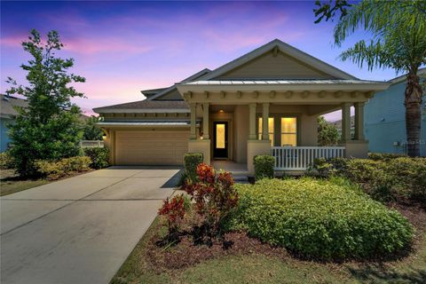 A home in APOLLO BEACH