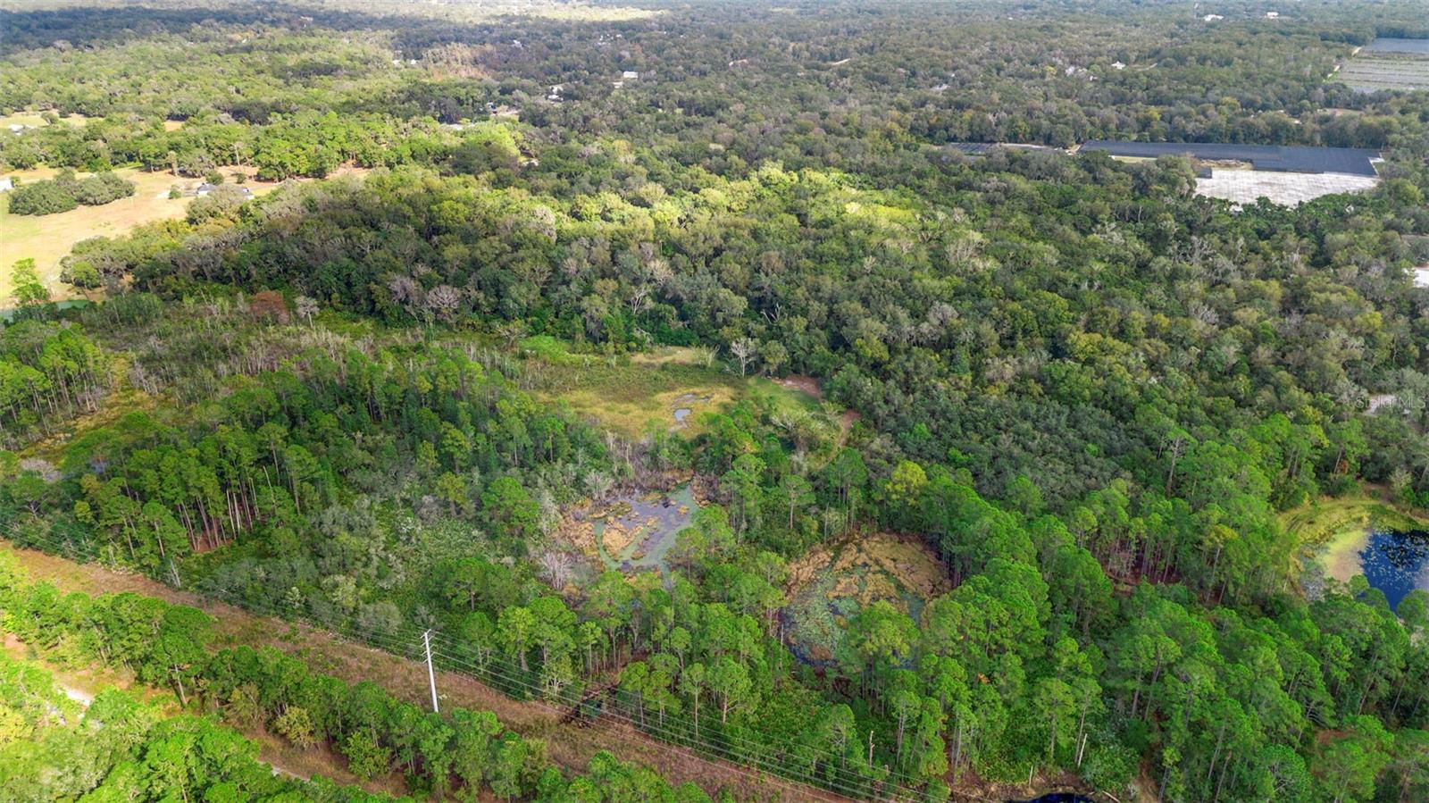 GLENWOOD DELAND FARMS - Land