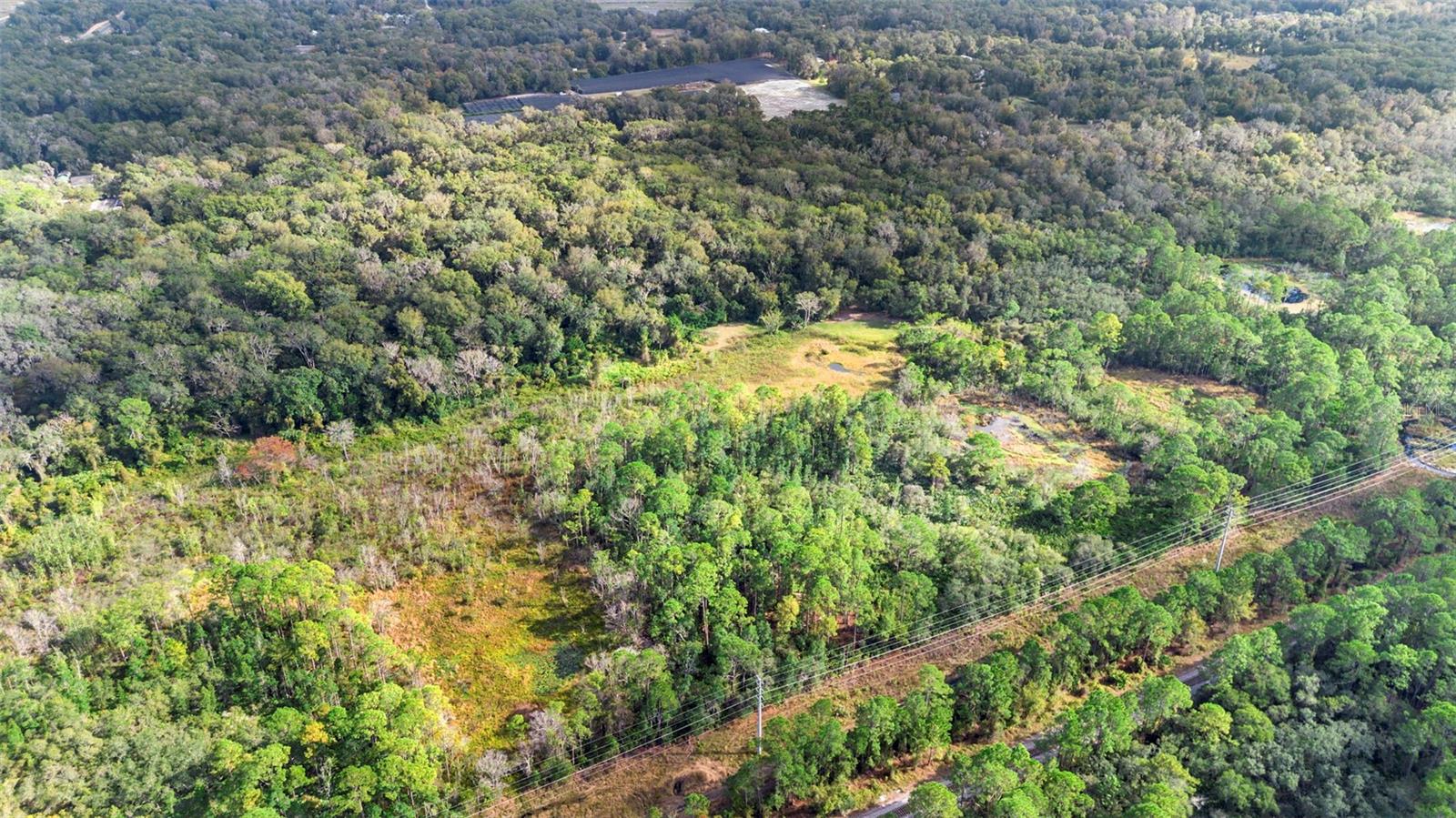 GLENWOOD DELAND FARMS - Land