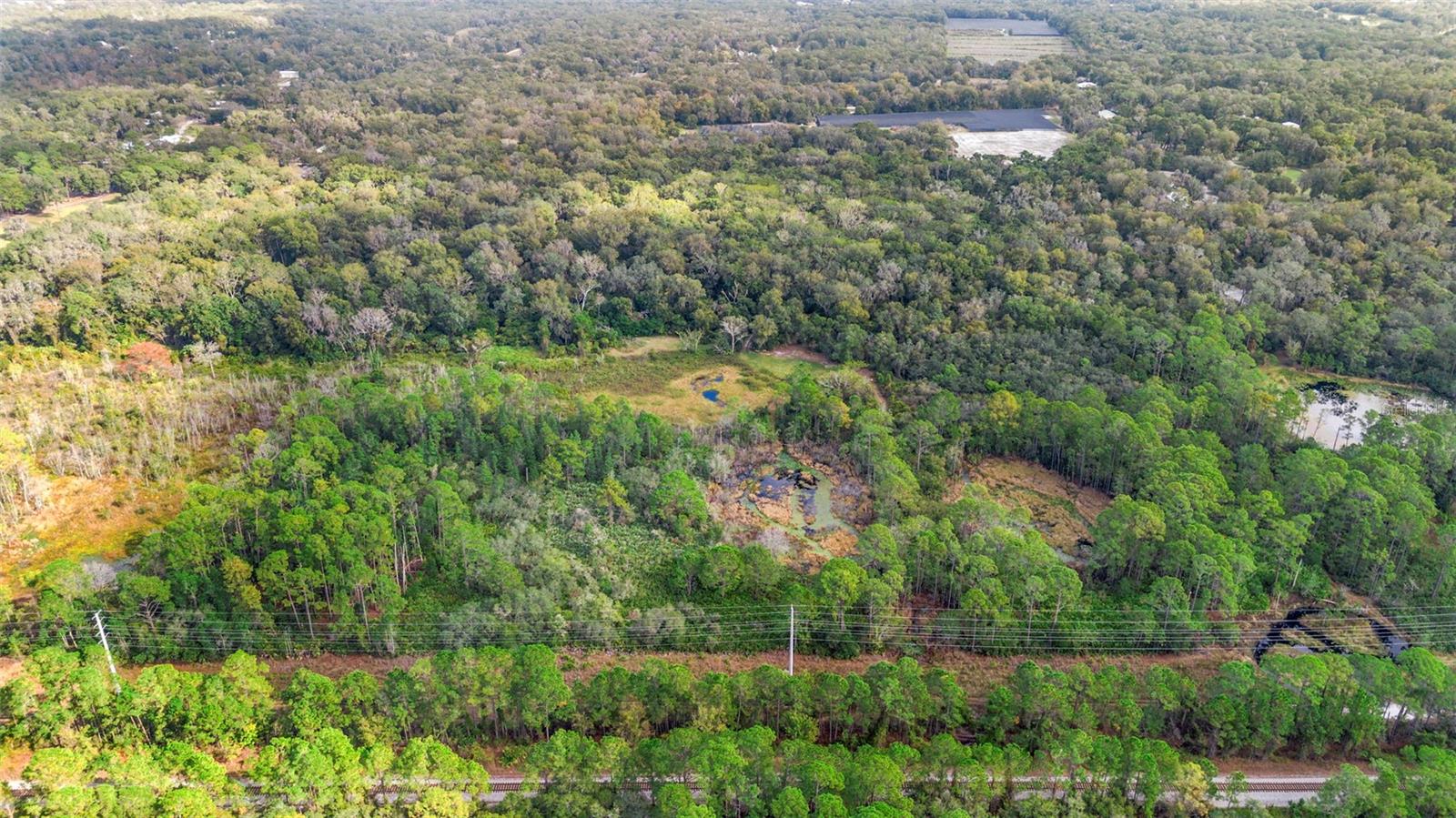 GLENWOOD DELAND FARMS - Land