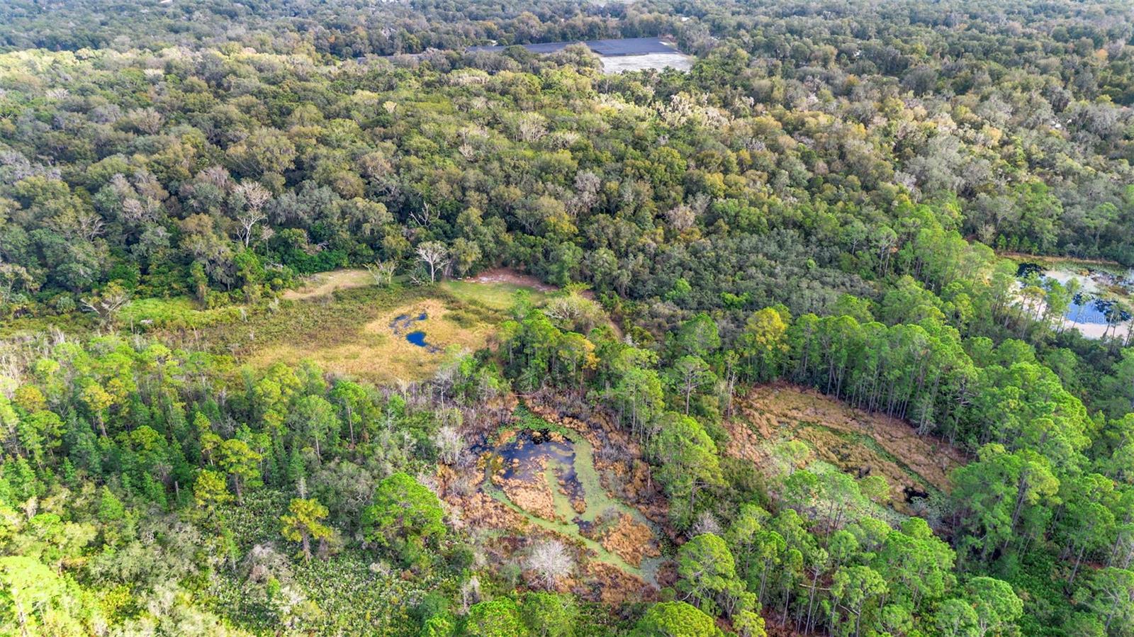 GLENWOOD DELAND FARMS - Land