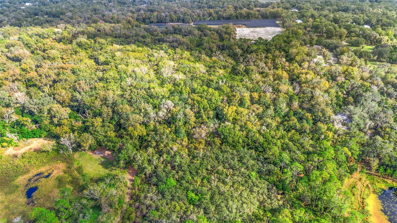 GLENWOOD DELAND FARMS - Land