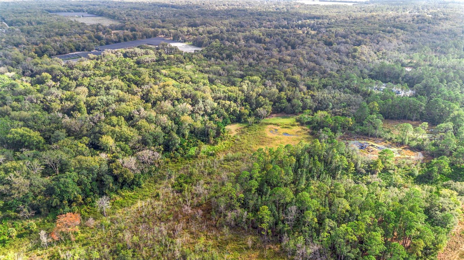 GLENWOOD DELAND FARMS - Land