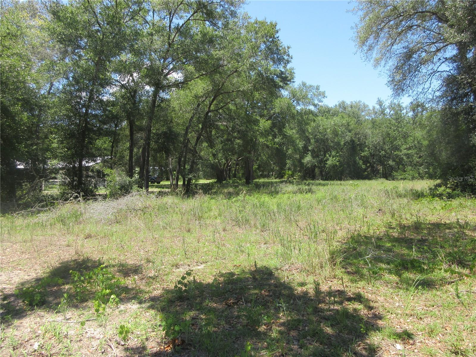 Affordable, owner-financed, lake access paved road lot in a nice neighborhood! Come see this beautiful cleared lot zoned R-1. (Houses only, no mobile homes permitted.) This property has lake access to gorgeous 400-acre North Lake just two blocks away. North Lake has excellent boating, skiing, kayaking, swimming, and some of the best BIG BASS fishing anywhere in Florida! The Winn-Dixie shopping center is 5 minutes away. The owner will accept cash or will owner finance it with a $6000 down payment and finance the balance at 6% interest for 5 years at $268.73 per month. An excellent new home site for your dream home you have been planning for so long. Dont wait any longer! A great deal at just $19,900! Hurry! No HOA! There is an optional community boat ramp and fishing dock available for you to use for $100 per year. The boat ramp is located on the corner of SE 162 Terrace and SE 16th Place. There is also a clubhouse available to rent which is a seperate fee. The clubhosue and fishing dock are located two blocks further from the boat ramp. The lot is located in the Ocala National Forest which affords you almost a ½ million acres of Forest to roam, 600 lakes, 2 rivers, Juniper Springs, Silver Glen Springs, Salt Springs, Swimming, Skiing, Big BASS Fishing, Boating, Camping, Hiking, Horse back riding and some of the best ATV riding anywhere. Daytona Beach is just 1 hour away. Let the fun begin! You need it!