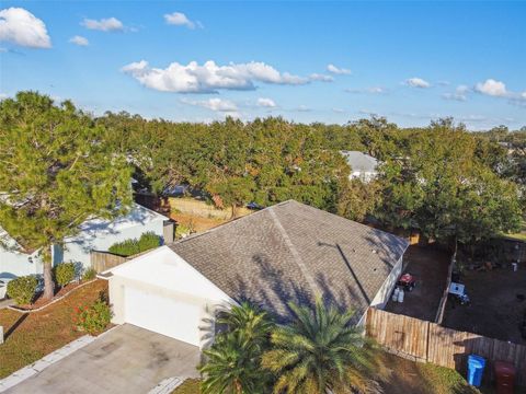 A home in PLANT CITY