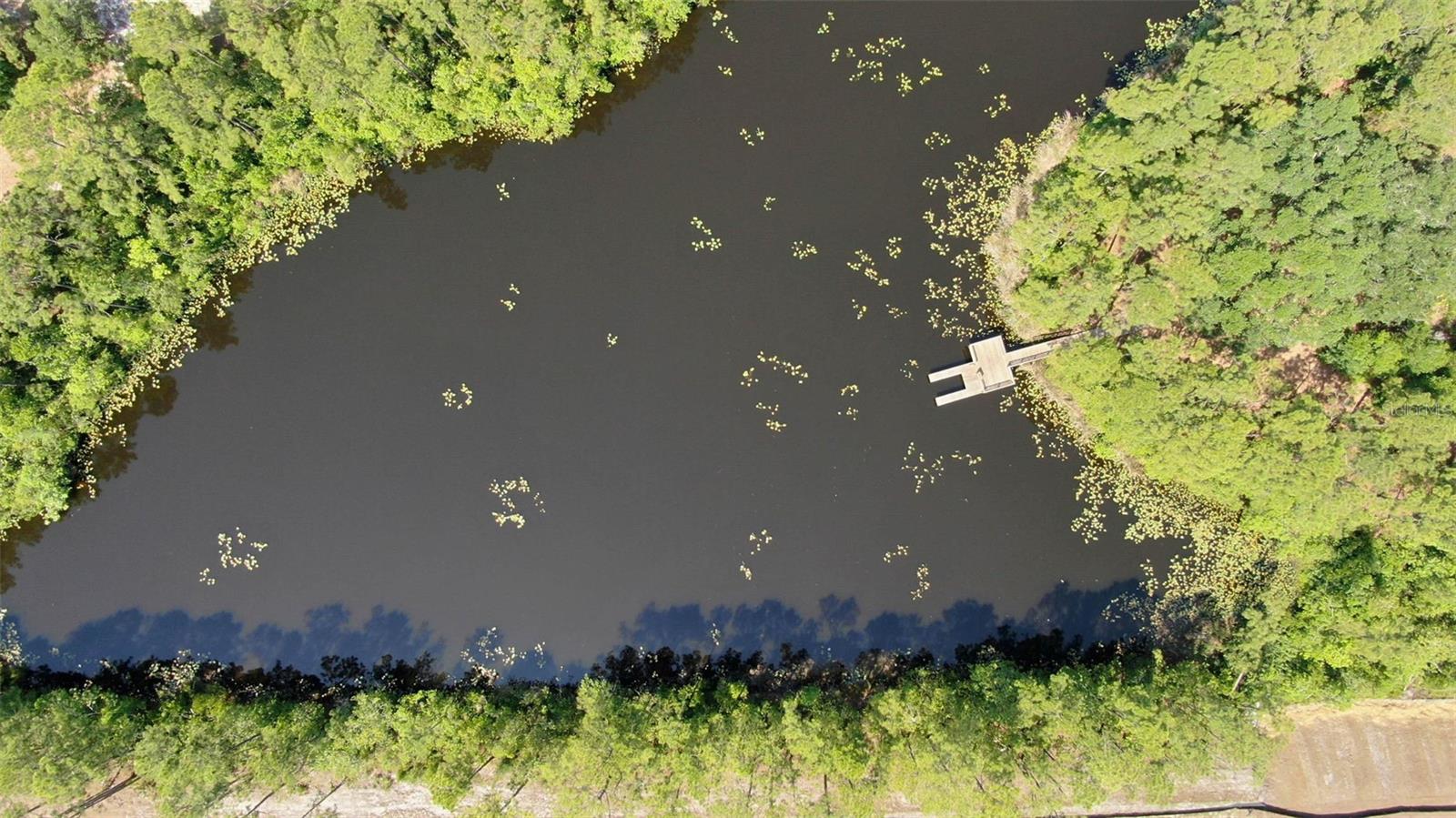 WHITEVIEW VILLAGE PH 1 - Residential