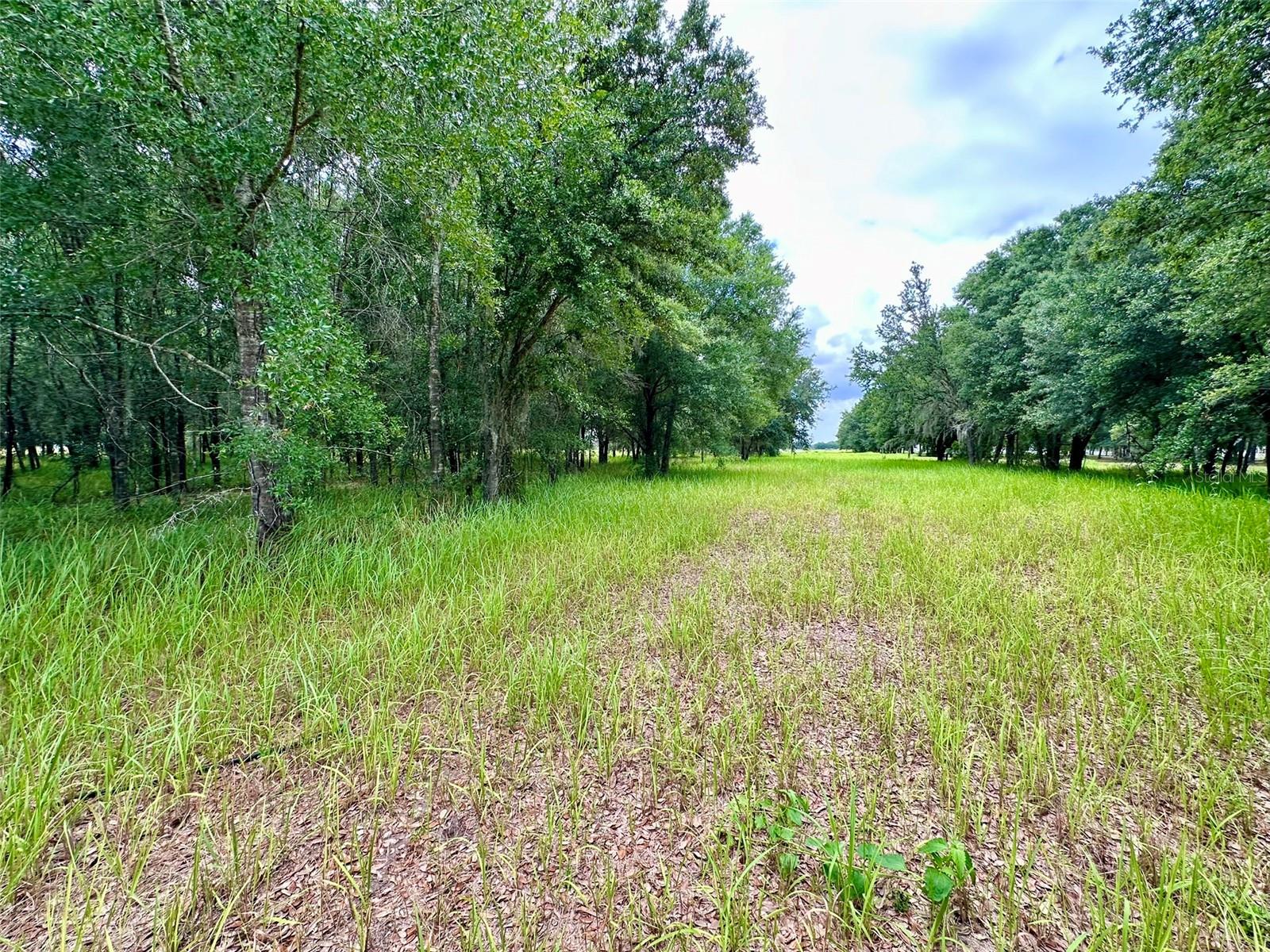 4946 WAUCHULA RD