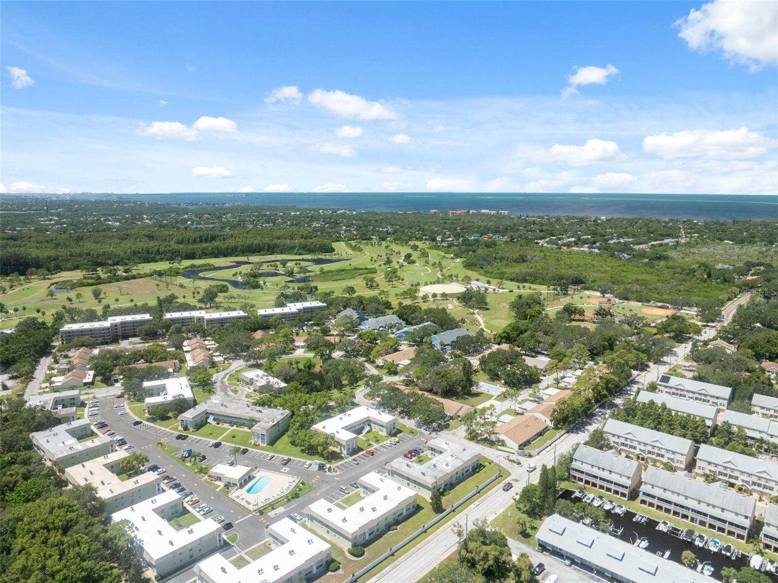 GREEN DOLPHIN PARK CONDO - Residential